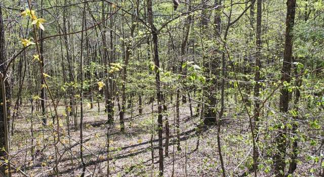 Photo of 0 Roanoke Creek Rd, Collinwood, TN 38450