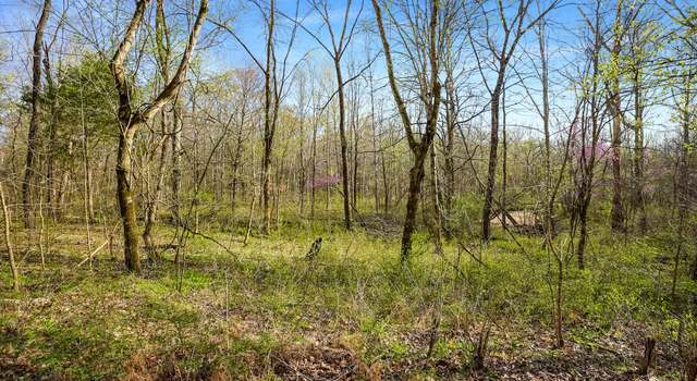 Photo of 0 Melton Springs Rd, TN 37023