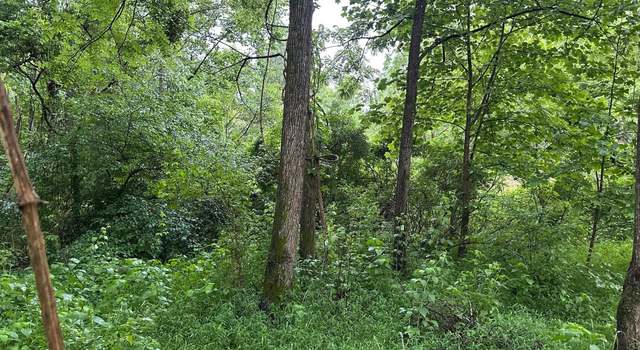 Photo of 3 Saw Mill Rd, Palmer, TN 37365