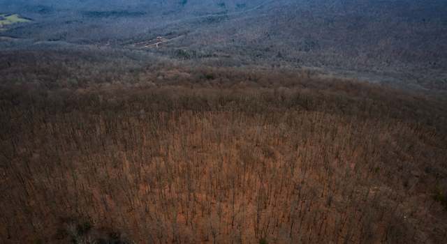Photo of 17 Higgenbotham Tpke, Altamont, TN 37301