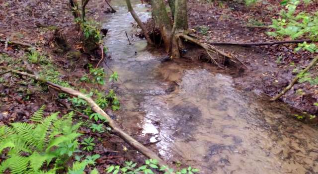 Photo of 0 SR 108, Gruetli Laager, TN 37339