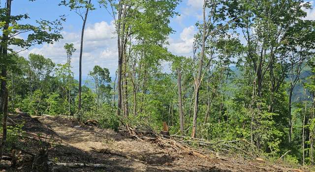 Photo of 12 Higgenbotham Tpke, Altamont, TN 37301