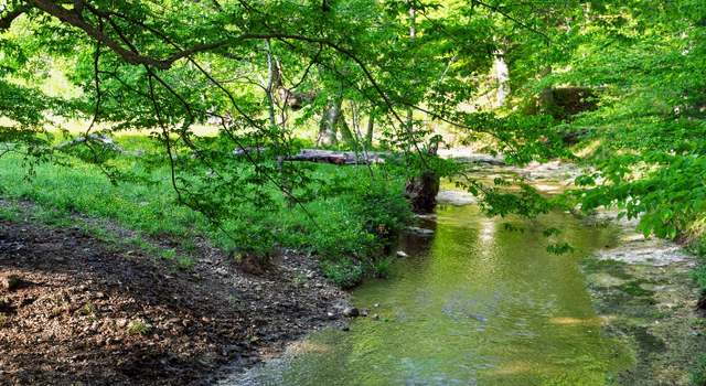 Photo of 0 Salmon Br W, Erin, TN 37061