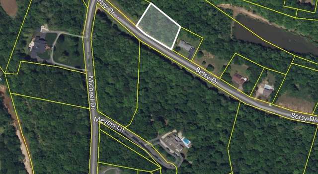 Photo of 0 Betsy Dr Lot 2, Waynesboro, TN 38485