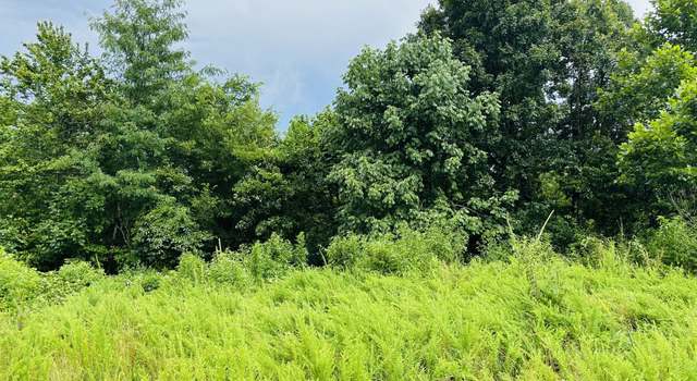 Photo of 0 Topside Dr, Dover, TN 37058