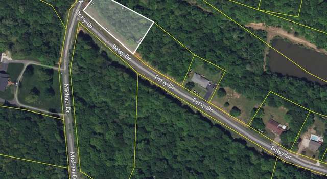 Photo of 0 Betsy Drive Lot 1, Waynesboro, TN 38485