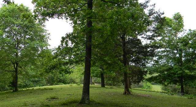 Photo of 2310 Poplar Grove Rd, Mc Ewen, TN 37101