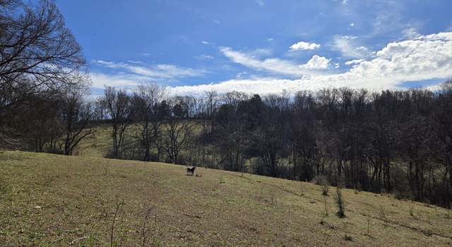 Photo of 0 Ella West Cir E, Lynnville, TN 38472