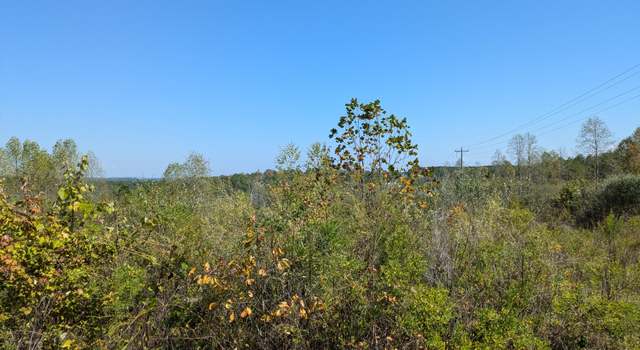 Photo of 0 Shut In Gap Rd, Spring City, TN 37381
