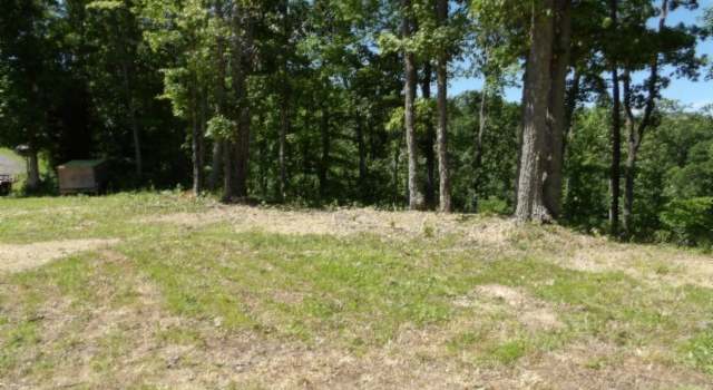 Photo of 46 Billy Westmoreland Rd, Celina, TN 38551