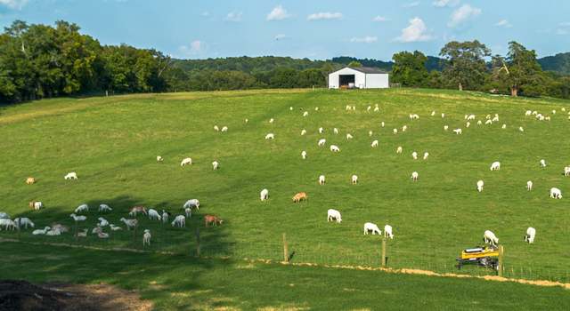 Photo of 2925 Pulaski Hwy, Cornersville, TN 37047