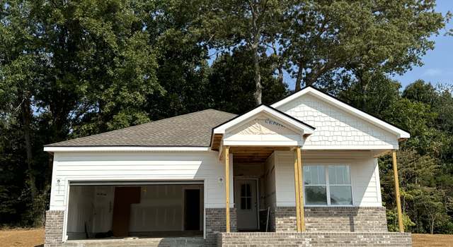 Photo of 1099 Ross Farms Blvd, Clarksville, TN 37040