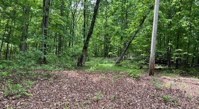 Photo of 7240 Kingston Rd, Fairview, TN 37062
