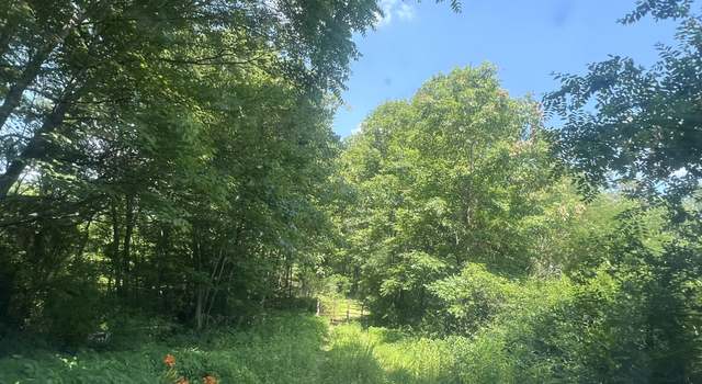 Photo of 130 Earl Gooch Rd, Lancing, TN 37770