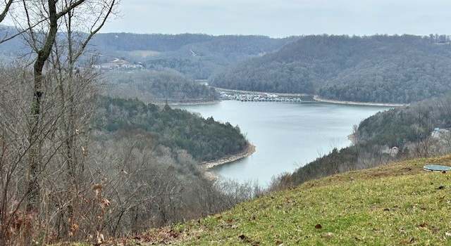 Photo of 0 Seaton Dr, Smithville, TN 37166