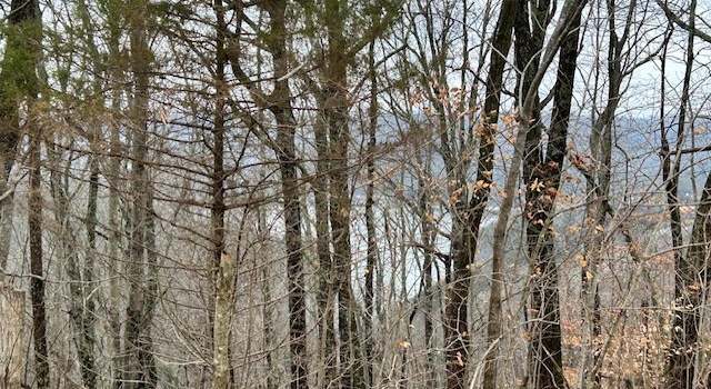 Photo of 0 Seaton Dr, Smithville, TN 37166