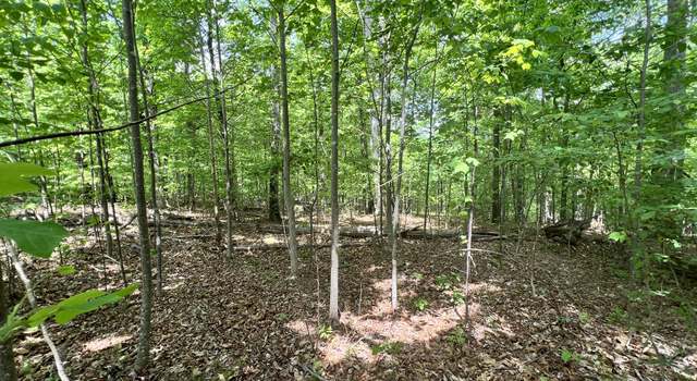 Photo of 0 Sarvis Ridge Rd, Normandy, TN 37360