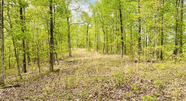 Photo of 47 Ridge Top Rd, Stewart, TN 37175