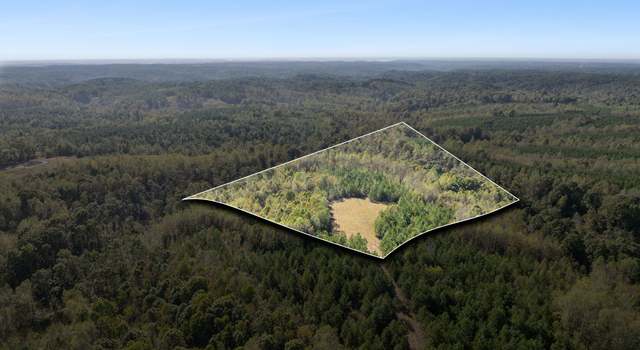 Photo of 0 Cox Hollow Rd Lot 10, Dover, TN 37058