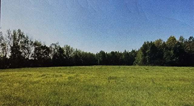 Photo of 0 Hollow Springs Rd, Bradyville, TN 37026