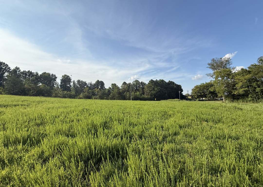 2 Beartown Rd, Loretto, TN 38469