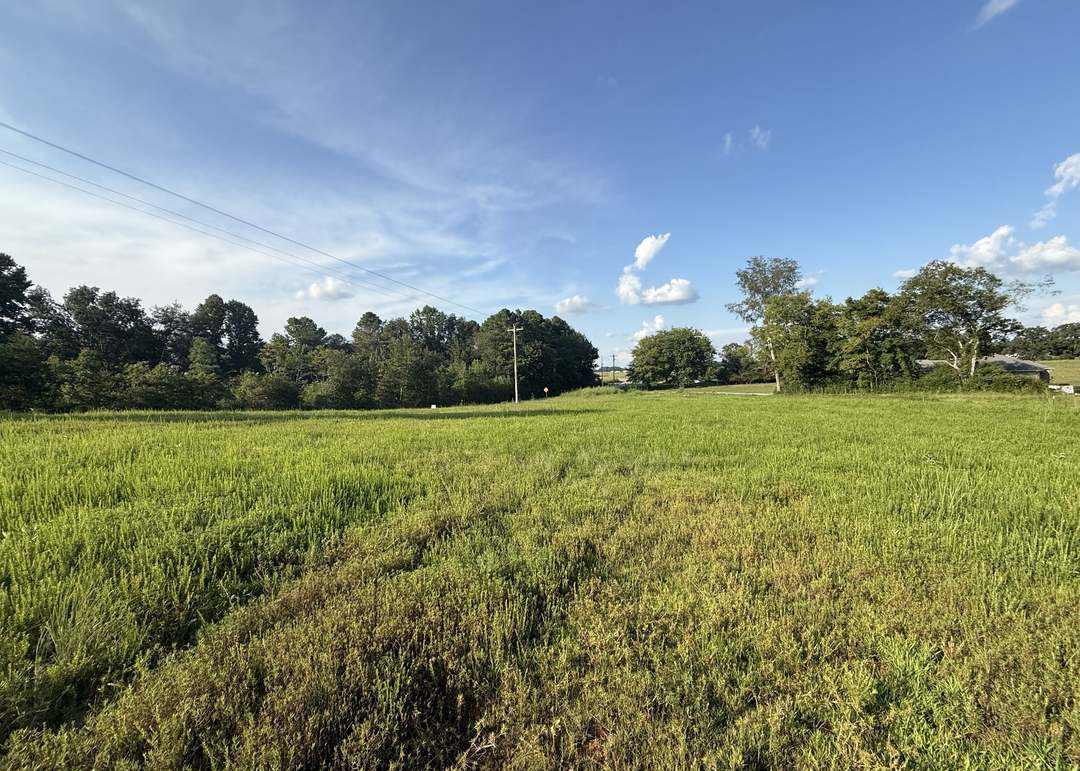 2 Beartown Rd, Loretto, TN 38469