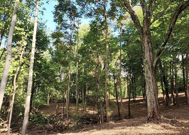 Property at Tract 1 Port Williams Rd, Williams, IN 47470