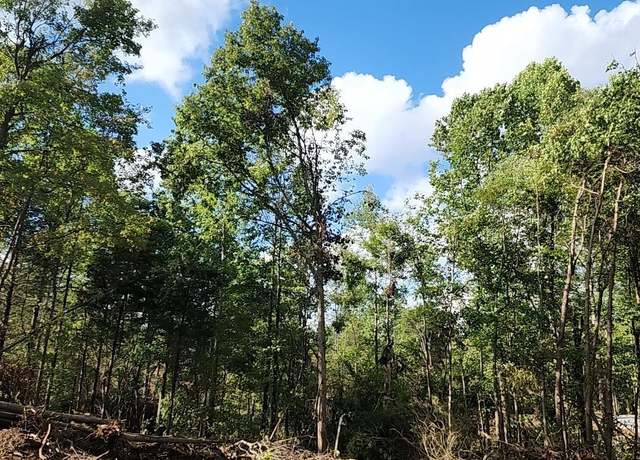 Property at Tract 4 Port Williams Rd, Williams, IN 47470