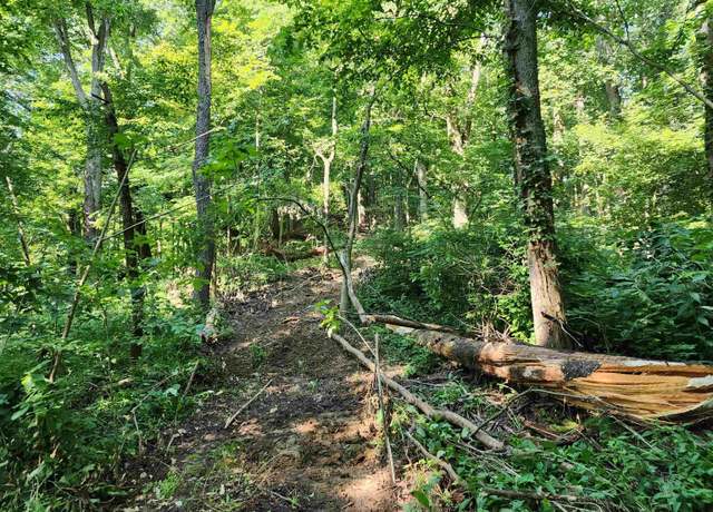 Property at 18 +/- Acres County Road 1250 West, Medora, IN 47260