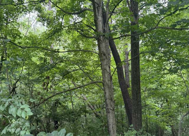 Property at tbd E Walnut St, Williamsport, IN 47993