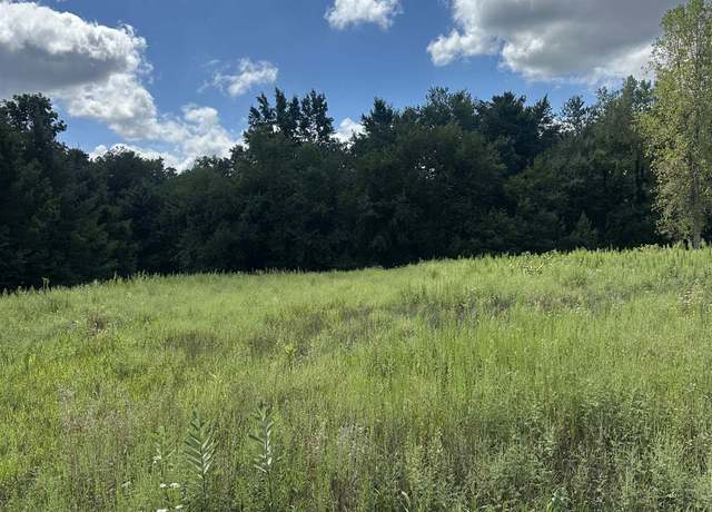 Property at TBD E 800 N, Orland, IN 46776