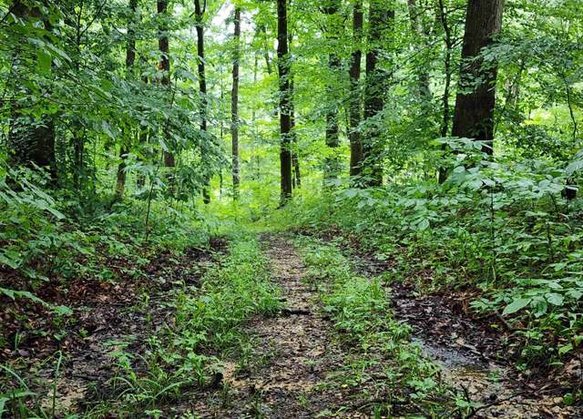Property at TBD State Road 54, Springville, IN 47462