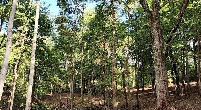 Photo of Tract 1 Port Williams Rd, Williams, IN 47470