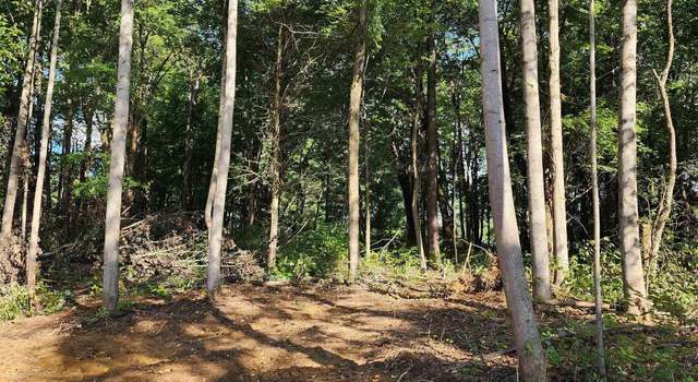 Photo of Tract 3 Port Williams Rd, Williams, IN 47470