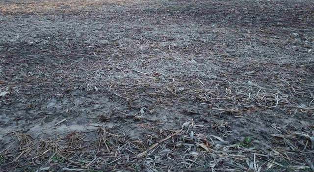 Photo of 58 ST RD Hwy, Odon, IN 47562