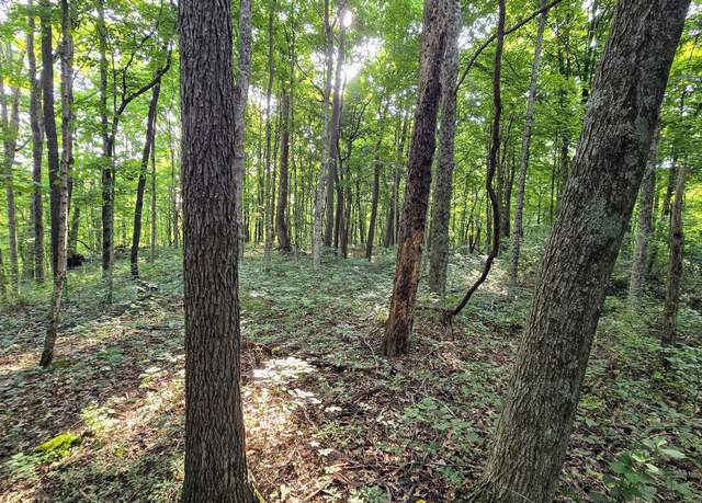 Property at 0 Lovers Lane Rd W, Bennington, IN 47011