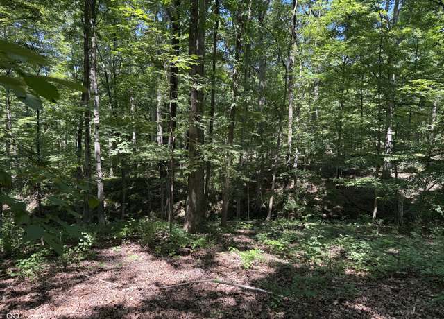 Property at 0 Fox Ct, Nineveh, IN 46164