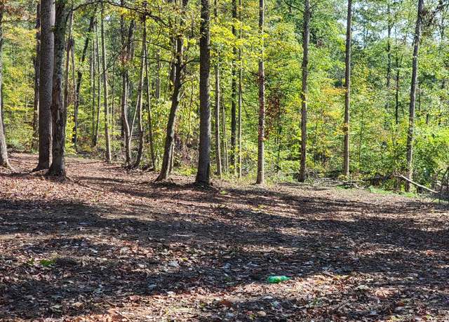 Property at 8000 W County Road 625 Tract 2 N, Norman, IN 47264