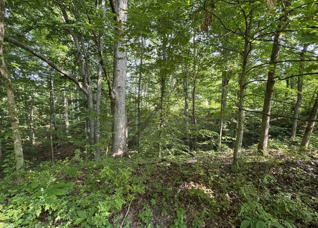 Property at 222 Pea Ridge Rd, Spencer, IN 47460