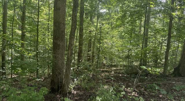 Photo of 00 Mockingbird Ln, Nashville, IN 47448