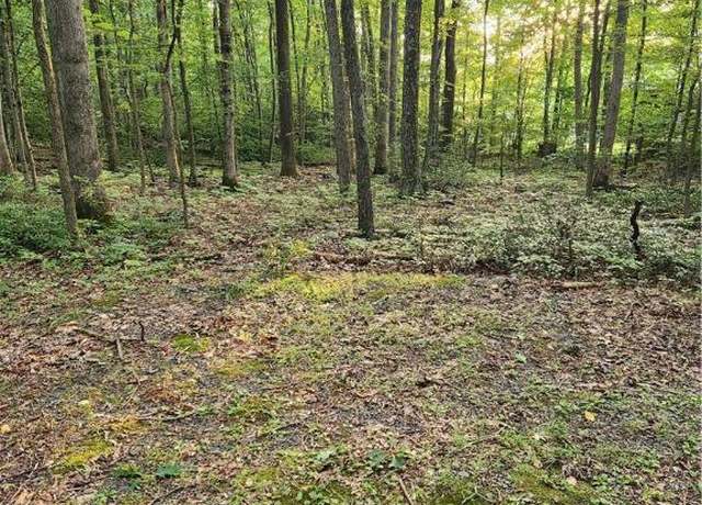Property at 1525 Lake Minsi Dr, Upper Mt Bethel Twp, PA 18343