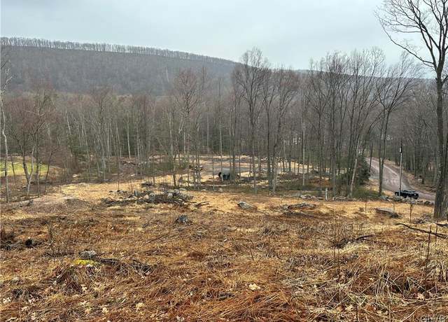 Property at Back Rd, Ryan, PA 18214