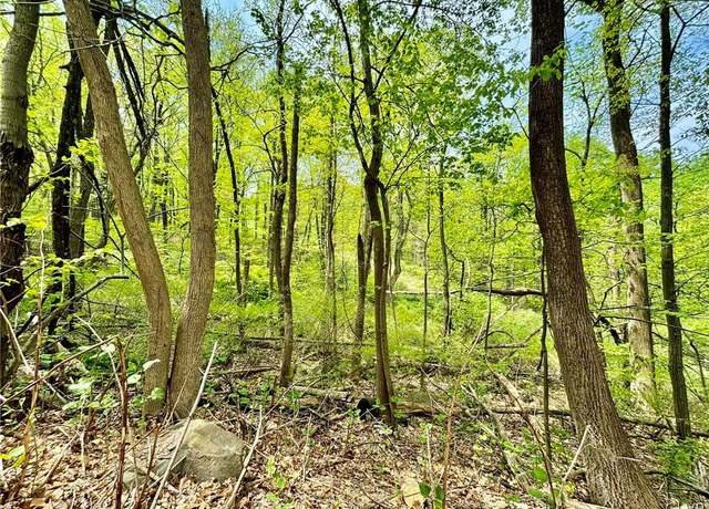 Property at 2580 Honeysuckle Rd, Salisbury Twp, PA 18015
