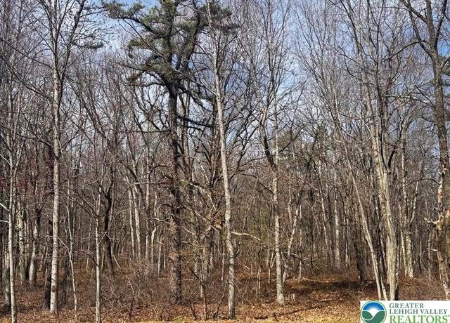 Property at Bear Ln, Penn Forest Twp, PA 18229
