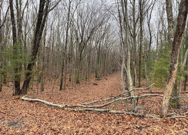 Property at 9-13 Mimosa Rd, Middle Smithfield Twp, PA 18302