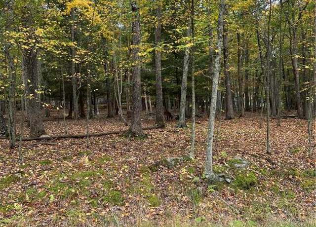 Property at 289 Forest Dr, Price Twp, PA 18325