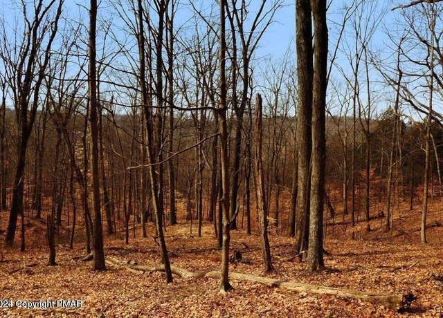 Property at Spruce Ln, Penn Forest Twp, PA 18210
