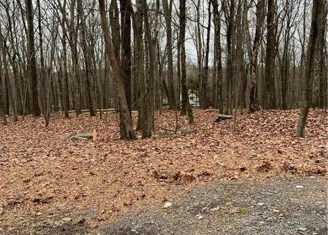Property at 302 Traverse Rd, Lehman Twp, PA 18328