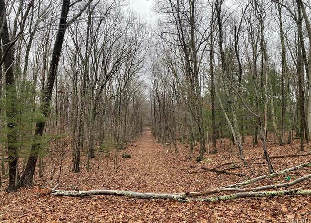 Property at 15 Mimosa Rd, East Stroudsburg, PA 18302