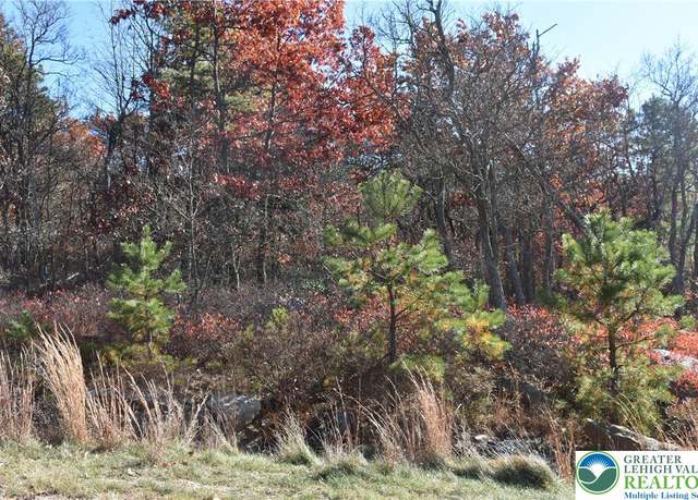 Property at Buck Mountain Blvd, Luzerne, PA 18202